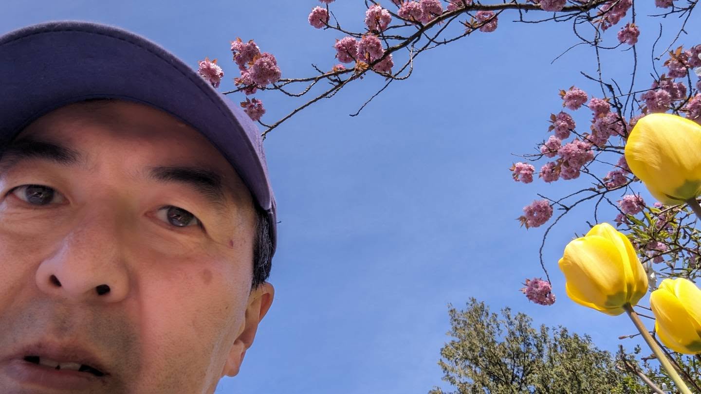 For those who don't know the red tulip symbolizes Parkinson's awareness. However, as I was walking in my neighborhood couldn't find any red tulips so I settled for these yellow ones. I was hoping to get a photo of tulips with cherry blossoms in the background and so I sat down beside these tulips and pointed my camera to the sky and took this selfie yesterday. 

#parkinsonsawareness
#Morethanjustatremor
@parkinsonbc
@copn.rpco